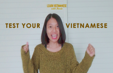 Test your Vietnamese (beginner level)